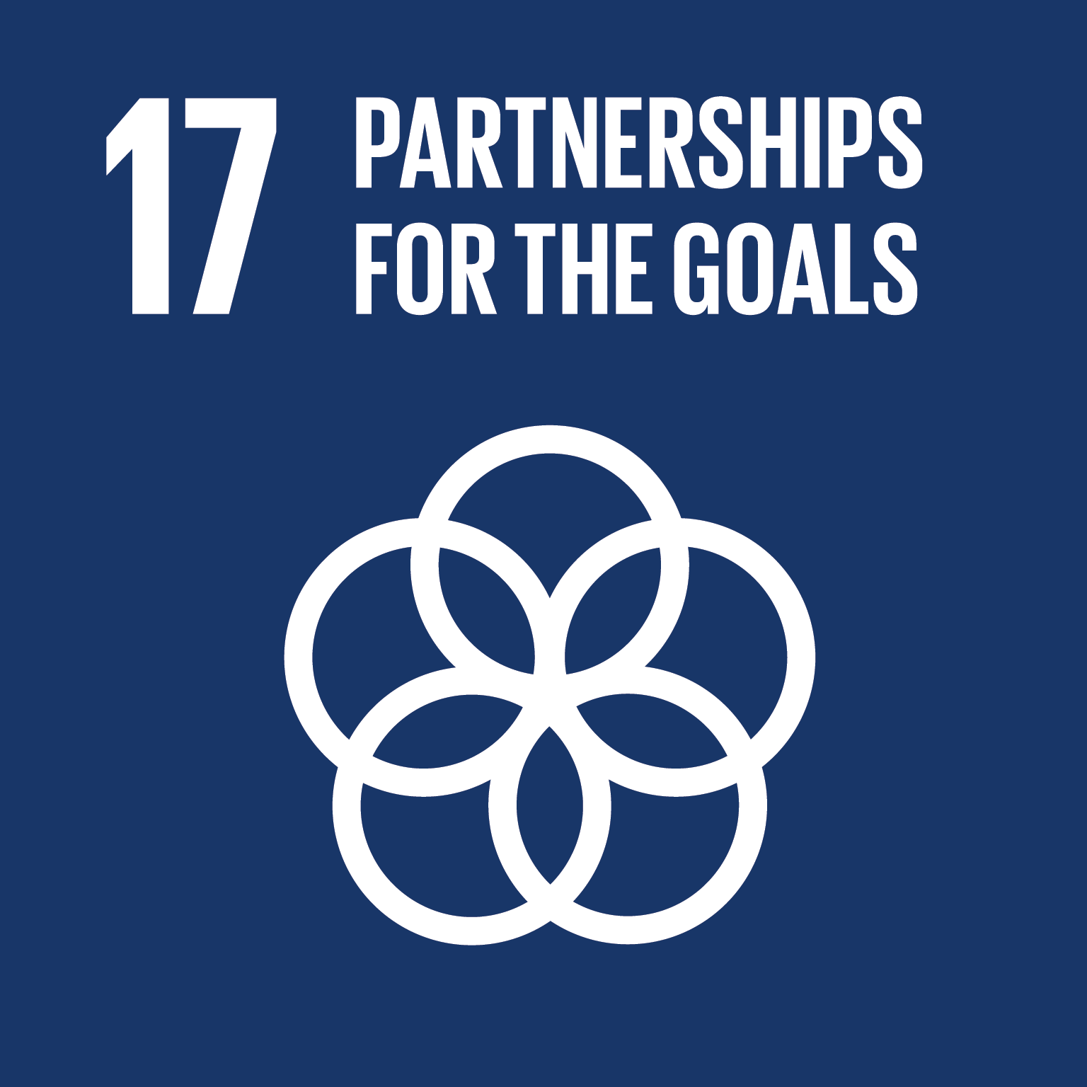 SDG partnerships